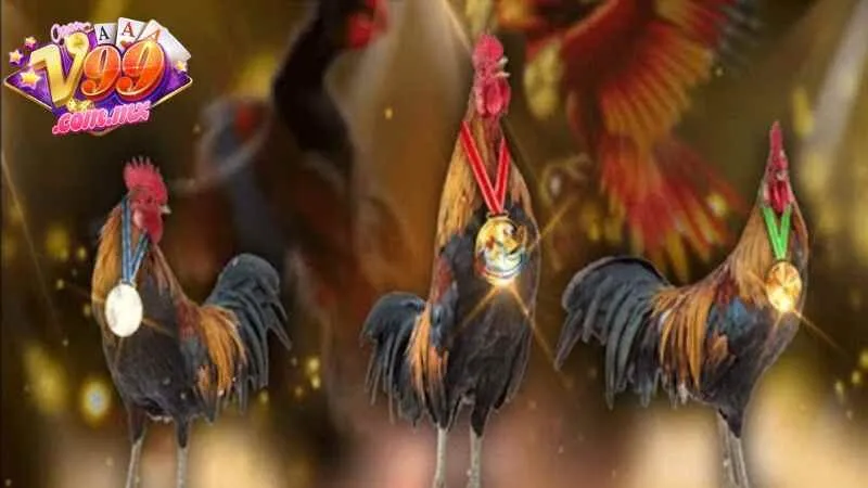 Không gian sôi động mang lại cảm giác hồi hộp từng giây